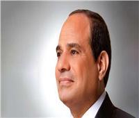 الرئيس السيسي يعود إلى أرض الوطن بعد مشاركته فى القمة العربية بالجزائر