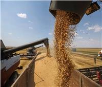 «مدبولي»: الدولة قدمت حوافز إضافية لتحفيز المزارعين على توريد القمح