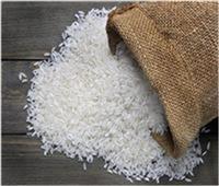 التموين: لا زيادة في أسعار الأرز ولدينا مخزون استراتيجي من السلع الأساسية |فيديو