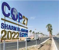 «صحة النواب»: انطلاق قمة المناخ تجسيد لمكانة مصر دولياً وإقليمياً