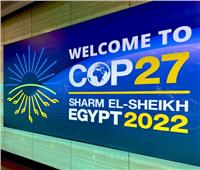 احمد هيكل: استضافة مصر لقمة المناخ يثبت صحة توجه مصر لبيئة نظيفة