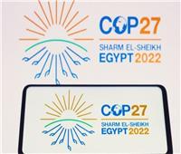 عضو اللجنة المنظمة لـ cop27: كل الأعمال الموجودة في حديقة السلام صديقة للبيئة
