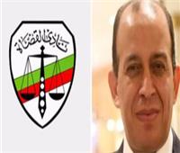 «قضاة مصر» يدين بيان المفوضيه السامية بالأمم المتحدة.. ويرفض التدخل في الشأن الداخلي
