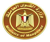 القوى العاملة تعلن عن فرص عمل في مجال صناعة الورق والكرتون بالإسكندرية