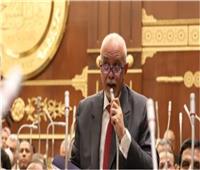 برلمانى: لقاء السيسي و بايدن إيجابى ويؤكد دور مصر العالمي 
