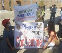«لا للحوم» بيئيون  يطالبون بالتحول إلى النباتية لإنقاذ الكوكب 