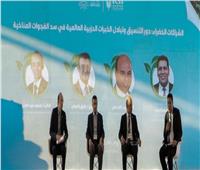 المصري للفكر والدراسات الاستراتيجية يعقد جلسات مكثفة خلال قمة المناخ