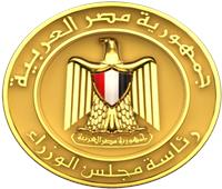 مجلس الوزراء يُجيب عن عددٍ من تساؤلات المصريين بالخارج بشأن استيراد السيارات