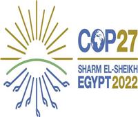 عضو بالشيوخ: مصر فرضت أجندتها التنفيذية بمؤتمر المناخ| فيديو