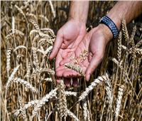 ترحيب دولي بتمديد «صفقة الحبوب» في البحر الأسود