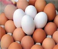 انخفاض جديد في أسعار البيض بالأسواق السبت 19 نوفمبر