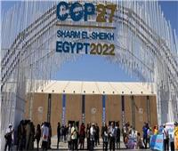 اقتصادية النواب: مصر حصلت على مكاسب متعددة من قمة المناخ العالمية