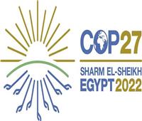 تضامن النواب: cop27 من أنجح القمم في تاريخ الأمم المتحدة