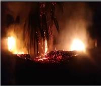 الحماية المدنية تسيطر على  حريق في زراعات النخيل بـ أبريم بأسوان