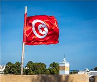 وزيرة الصناعة التونسية: لدينا رؤية لإنشاء منطقة اقتصادية فرنكفونية حرة