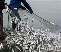 مصرع وإصابة 4 أشخاص بسبب النزاع على مناطق صيد الأسماك