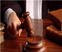 تأجيل محاكمة 43 متهمًا في خلية «العجوزة الإرهابية» لـ 19 ديسمبر