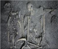 اكتشاف أثري صادم حول حضارة المايا.. قرد نادر دفن حيًا