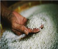 وزارة التموين: ضخ 50 طن أرز يومياً للأسواق في المجمعات الإستهلاكية