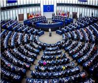 ولاء التمامي: تقرير البرلمان الأوروبي عن مصر مُزور ومضلل 