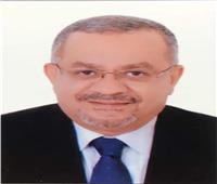 «زراعة الشيوخ»: بيان البرلمان الأوروبي محاولة جديدة لتشويه صورة مصر
