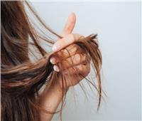 للجنس الناعم.. وصفات طبيعية لعلاج ترميم الشعر التالف 
