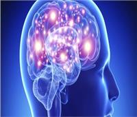 ميكانيكا الدماغ| كيف يخزن العقل الذكريات؟