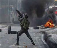 إصابة فلسطيني برصاص الاحتلال.. ومستوطنون يسرقون 30 خلية نحل من نابلس