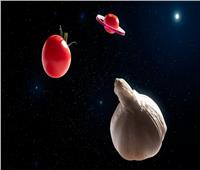 بدء تجارب «الطماطم الكونية» على محطة الفضاء الدولية