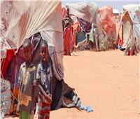 محلل اقتصادي لـ«القاهرة الإخبارية»: الصومال يعاني أشد موجة جفاف منذ 40 عامًا 