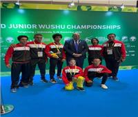 ملك إبراهيم تحصد برونزية بطولة العالم للكونغ فو بإندونيسيا 