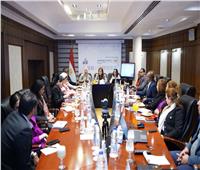 لجنة القومي لتنمية الأسرة المصرية تتابع الموقف التنفيذي لخطط المشروع