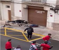 في مشهد مرعب.. ثور هائج يضرب رجل ثمانيني في إسبانيا   