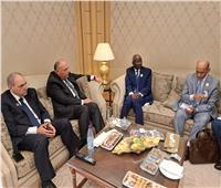 «شكري» يلتقى وزير الشئون الخارجية والتعاون الموريتاني بالرياض