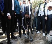 مستقبل وطن يطلق مبادرة «اتحضر للأخضر» بالإسكندرية لزراعة 50 ألف شجرة 