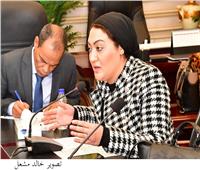برلمانية: الدولة حققت حياة كريمة لكل من يعيش داخل الأراضي المصرية