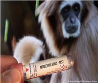 إسلام عنان: توزيع 100 مليون جرعة لقاح عالميا للوقاية من «جدري القردة»|فيديو