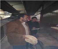 ضبط 43 مخبز مخالف خلال حملة على المخابز بأبو المطامير والنوبارية بالبحيرة