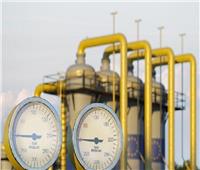فنلندا تواصل استيراد الغاز الطبيعي من روسيا بموجب عقد طويل الأجل