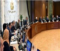 الحكومة توافق على تعديل قرار منح بعض التيسيرات للمصريين المقيمين بالخارج
