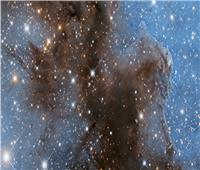 جمال الكون| صورة جديدة لسديم «كارينا» المرصع بالنجوم