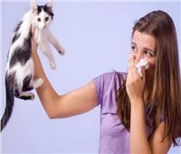 تعرف على أعراض الإصابة بـ«حساسية القطط»   