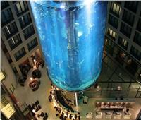  يحتوى على 1500 سمكة غريبة.. تحطم أضخم حوض أسماك أسطواني في العالم بألمانيا| فيديو