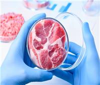 دراسة تجيز زراعة اللحوم في المختبرات وطرحها بالأسواق