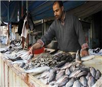 استقرار أسعار الأسماك في سوق العبور اليوم 19 ديسمبر