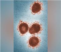 «فيروس الزومبي» عمره حوالي 50 ألف سنة.. لماذا أحياه العلماء من جديد؟ 