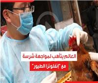 العالم يتأهب لمواجهة شرسة مع إنفلونزا الطيور | فيديوجراف