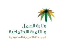 لتوظيف المواطنين.. السعودية: توطين مهن «خدمة العملاء والقانونية»