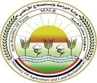افتتاح مشروع مستقبل مصر وإطلاق تطبيق «هدهد».. الحصاد السنوي لوزارة الزراعة