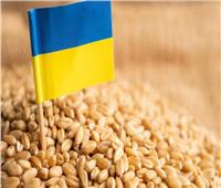 أوكرانيا تقدر تراجع حصادها من الحبوب بنحو 40 % خلال 2022